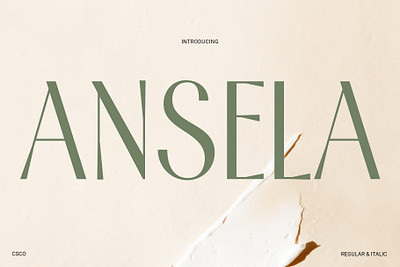 Ansela creative design elegant font lettering logo modern typeface