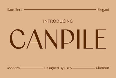 Canpile creative design font lettering logo modern typeface