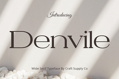 Denvile creative design elegant font lettering logo modern typeface