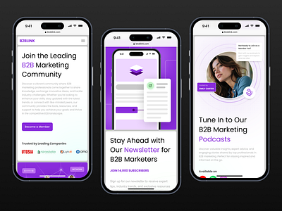 B2BLink - B2B Marketing Community Landing Page b2b community company home page landing page marketing responsive ui ux ui website