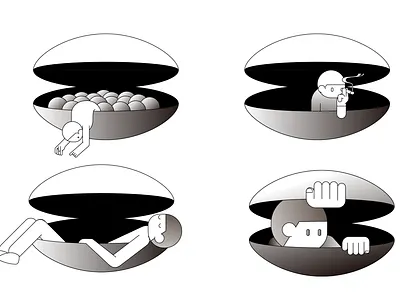 shells illustration