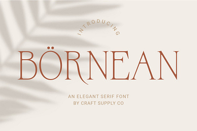 Bornean branding creative design elegant font lettering logo modern serif typeface