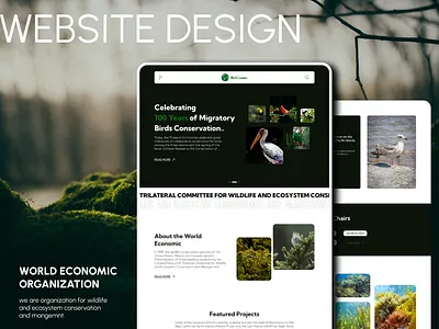world economic trust website economic website landing page trust website design ui ui ux design website website design