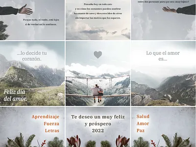 Instragram Feeds branding graphic design instagram