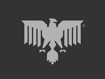 Nighthawks animal bird brand emblem hawk logo night order peace power security strength symbol wings