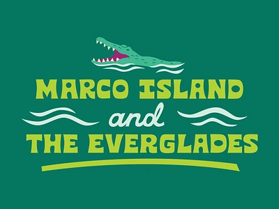 Marco Island & The Everglades Lettering for Visit Florida adventure alligator beach branding crocodile everglades florida gator illustration lettering marco island national park nature ocean outdoors swamp tourism travel