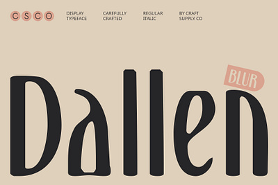 Dallen Blur blur creative design elegant font lettering logo modern serif typeface