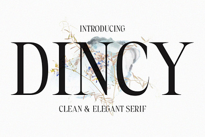 Dincy branding creative design elegant font lettering logo modern serif typeface