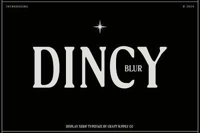 Dincy Blur blur creative design elegant font lettering logo modern serif typeface