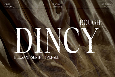 Dincy Rough creative design elegant font lettering logo modern rough serif typeface