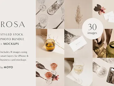 Rosa - Stock Photo & Mockup Bundle business card business card mockups flat lay flowers glasses light minimal minimalist mock ups mockups phone shadow play shadows stock images stock photo bundle styled stock styled stock photos sun sunlight