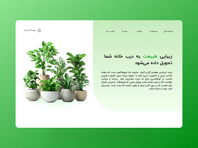 Plant Shopping Wed Design 3d animation application art branding graphic design icon illustration logo minimal moion graphic product design typography ui ui design uiux ux ux design vector web design