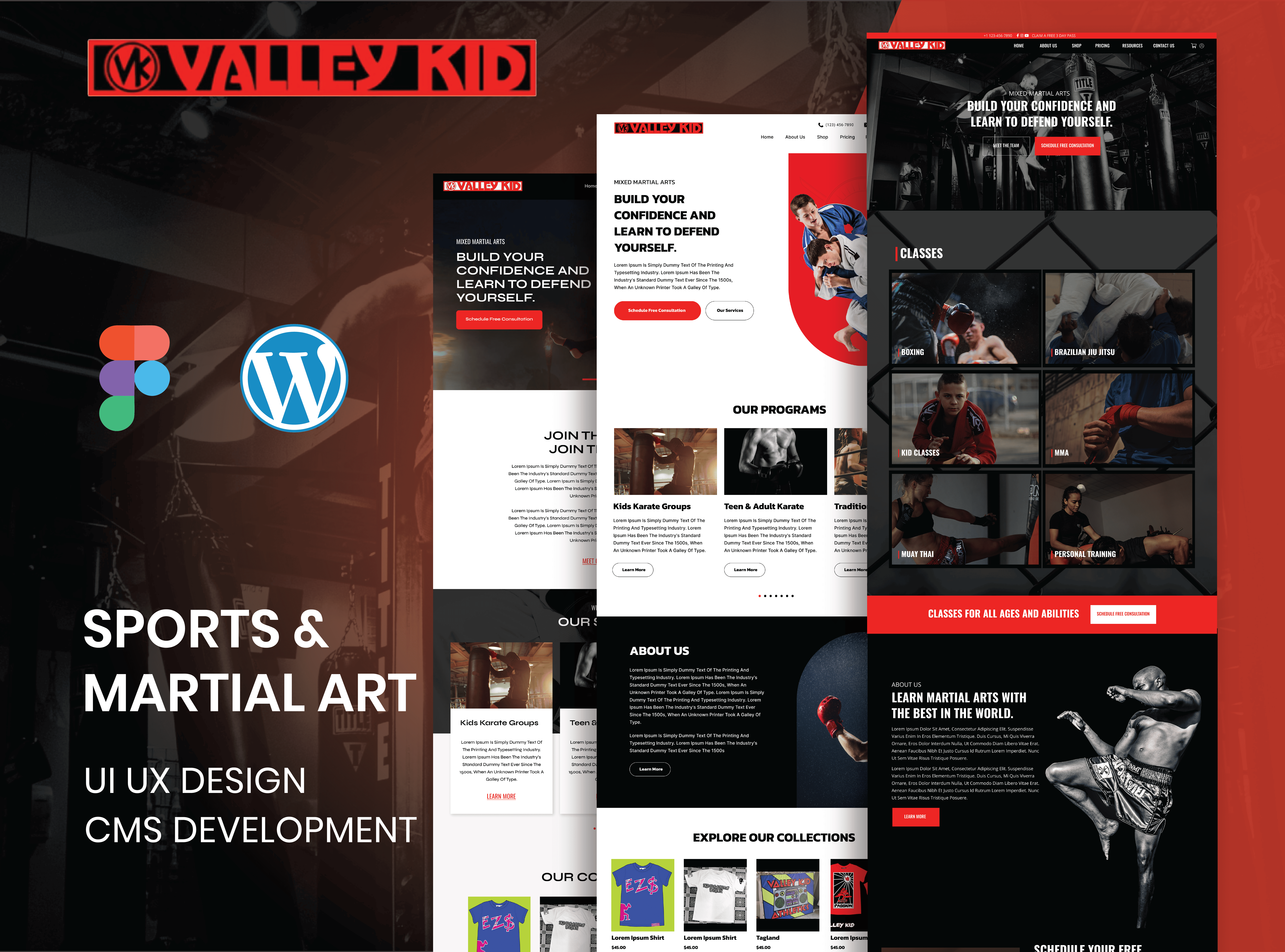 Example of Landing Page Design & Development