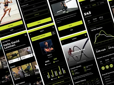 My Fight Pal - Online Boxing Lessons competitve analysis design information architecture mobile app design re design ui ux