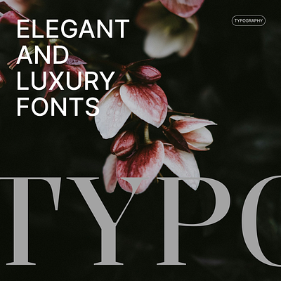 Typography design font style typo typography ui uiux web