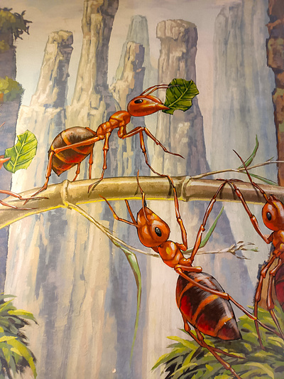 Εργατικά μυρμήγκια - Working ants illustration photoshop street art wall design αθήνα σχέδιο τοιχογραφία φωτογραφία