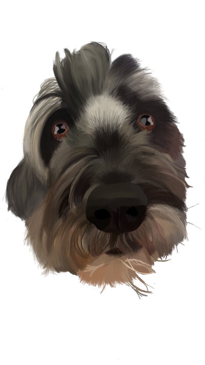 digital painting of dog