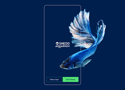 Shedd Aquarium App Concept - Chicago ai app design generative ai motion graphics ui ux water web design