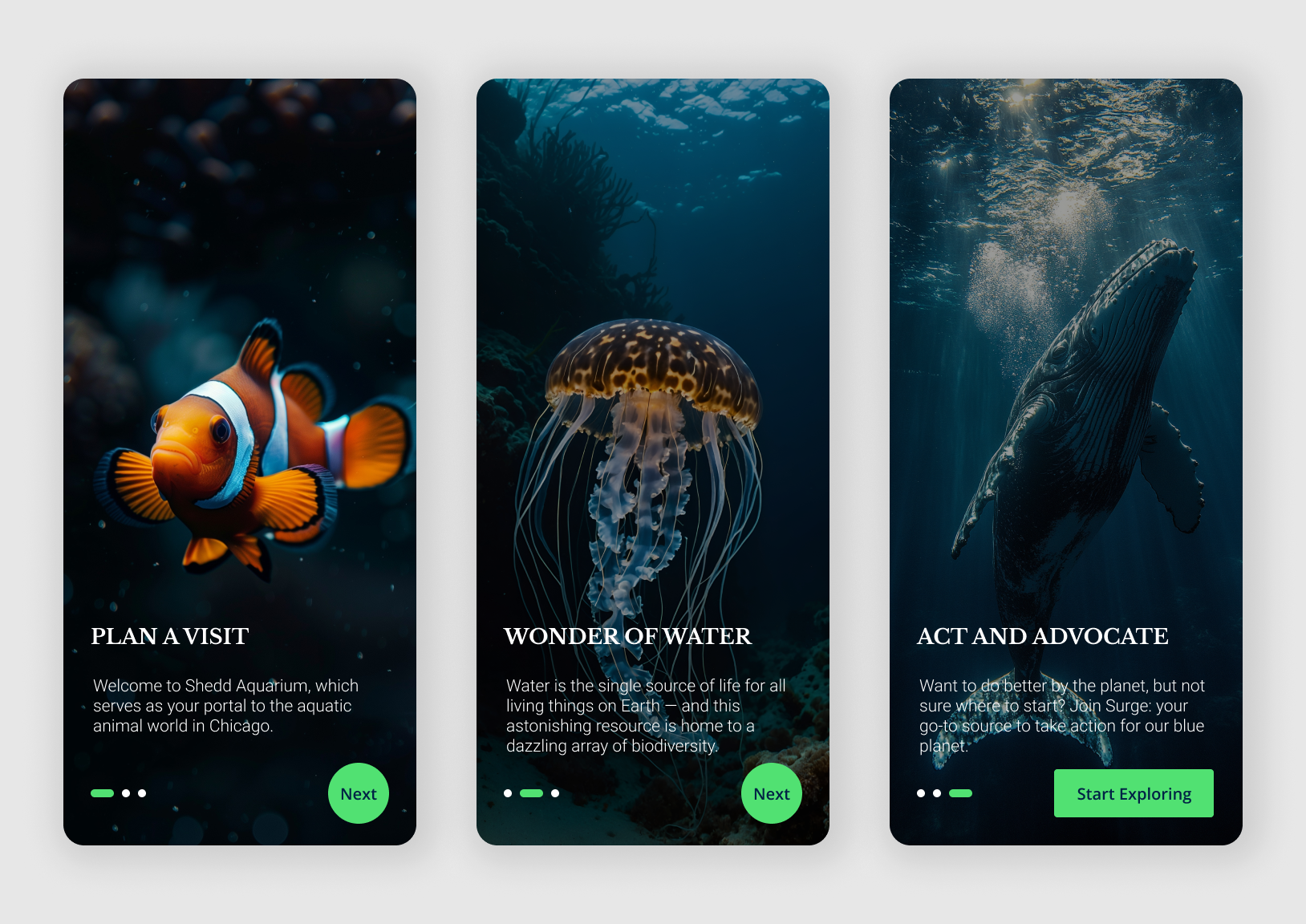 Shedd Aquarium App Concept - Chicago 3d animation branding graphic design logo motion graphics ui
