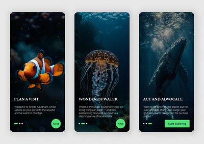 Shedd Aquarium App Concept - Chicago 3d animation branding graphic design logo motion graphics ui