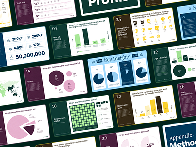 2024 Developer Survey blue charts code data data visualization dev developer ebook figma graph illustration infographic low code mendix ppt statistics survey tech technology typography