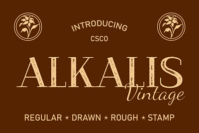 Alkalis Vintage classic creative design elegant font lettering logo modern serif typeface vintage