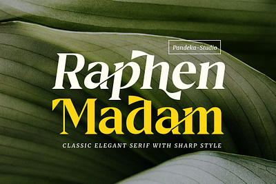 Raphen Madam - Classic Elegant Serif packaging