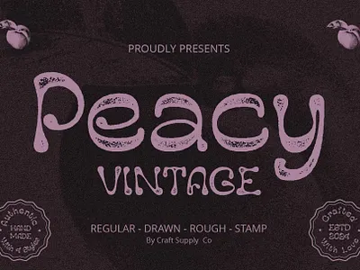 Peacy Vintage creative design display font lettering logo modern playful psychedelic typeface