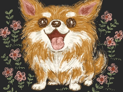 Chihuahua in the flower garden animal character character design chihuahua dog illustration pet puppy