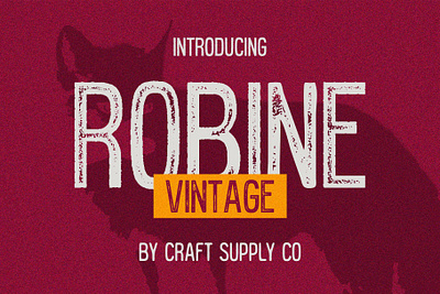 Robine Vintage creative design font lettering logo modern sans serif typeface vintage