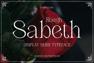 Sabeth Rough creative design elegant font lettering logo modern rough serif typeface