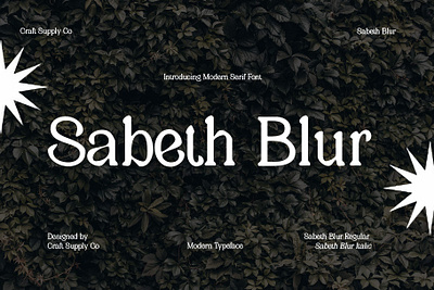 Sabeth Blur blur creative design elegant font lettering logo modern serif typeface