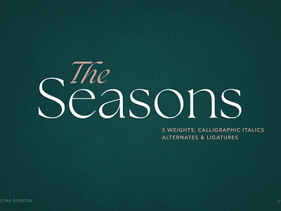 The Seasons Serif Font Family aesthetic alternates beautiful boutique calligraphy chic classic classy clean contemporary corporate deco elegant expensive family fashion feminine french seasons serif font family the seasons serif font family