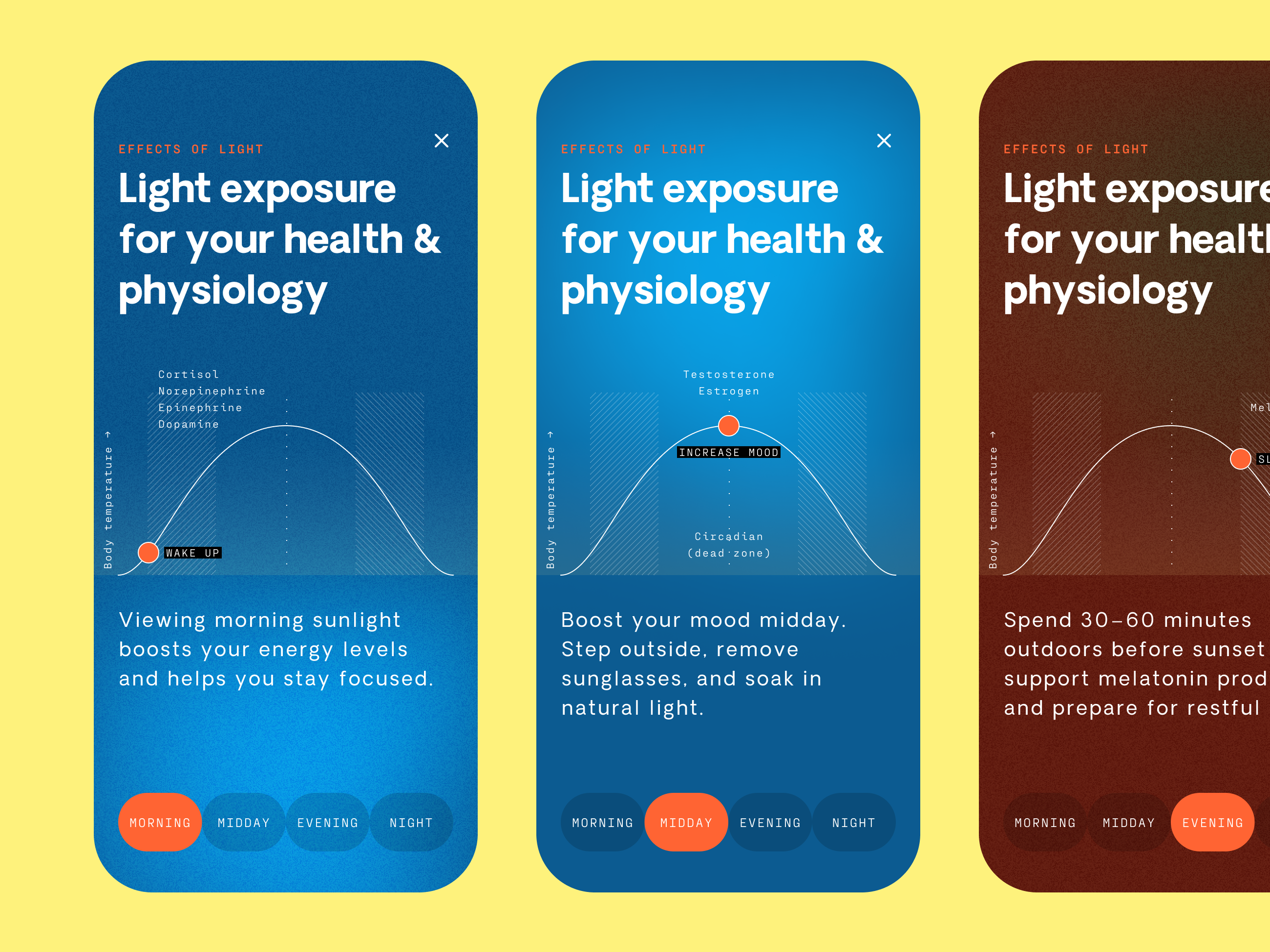 Example of App Design Concept
