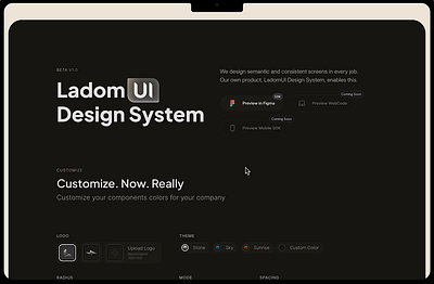 LadomUI Design System ✦ A shot on ladom.co 2025 agency website big cta black book a call components consultant cta design system framer ladom landing page uikit