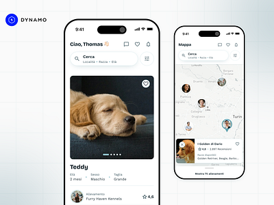 Design Exploration: Best Friend App app pet product design ui ux