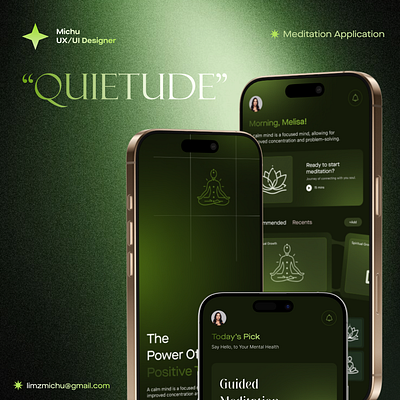 Quietude : Meditation Application app design application design trends fimga design icons illustration meditation application ui uiux user experience user interface