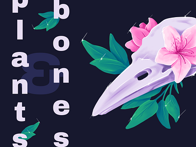 🌿 plants & bones bones graphic illustration lily plants poppy procreate raven skull stickers