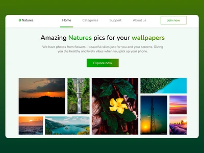 Natures:Wallpaper Website Design branding design ecommerce flowers green theme landing page nature nature photography photography ui ui design ux design vibes wallpaper wallpaper website web web design web ui web ux website