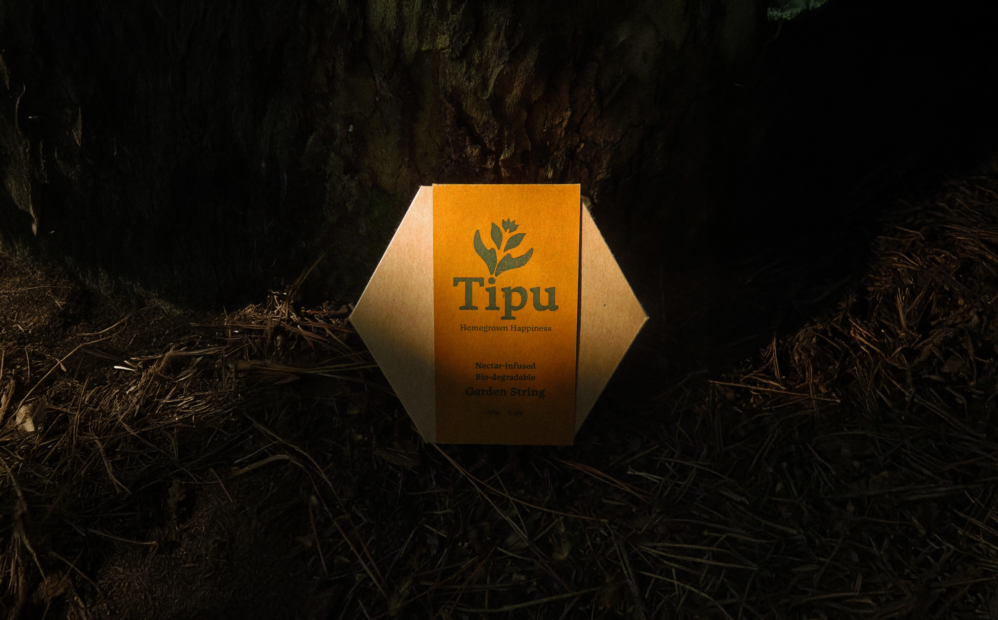 Packaging / Tipu String brand brand identity branding design dielines graphic design illustration labels logo market research nature package packaging photography photos portfolio product sustainable typography