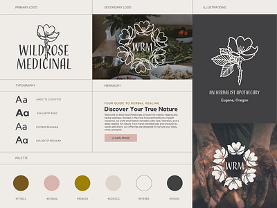 WildRose Medicinal Branding Design brand design branding branding design color palette custom illustration earthy colors earthy logo graphic design herbal apothecary herbal logo logo logo design typography