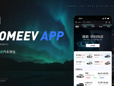 HOMEEV APP Project Summary branding design illustration ui ux