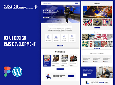 UI UX Design & Wordpress CMS Development figma ui ui design ux ux design web design web development website website design website development