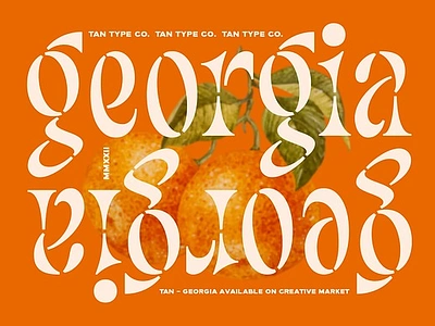 TAN - GEORGIA display font exotic fun font masthead modern font reverse contrast stencil font tan georgia vintage