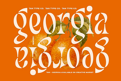 TAN - GEORGIA display font exotic fun font masthead modern font reverse contrast stencil font tan georgia vintage