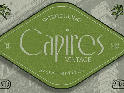 Capires Vintage creative elegant font lettering logo modern sans serif typeface vintage