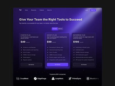 Pricing Page | Dark Theme dark theme landing page pricing pricing card pricing page pricing section pricing table ui ux web design website