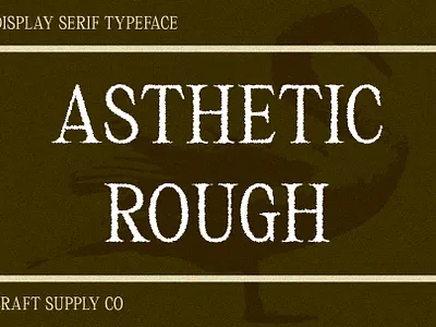 Asthetic Rough creative design elegant font lettering logo modern rough serif typeface