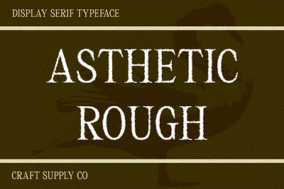 Asthetic Rough creative design elegant font lettering logo modern rough serif typeface