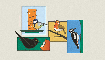 bird weekend bird illustration